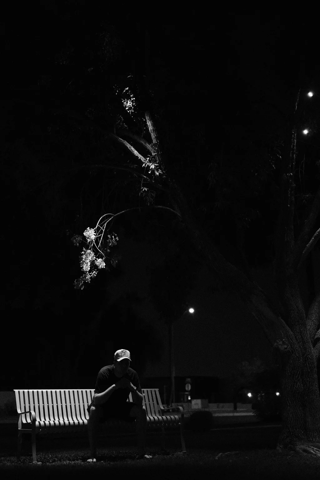 Lawrence Ghinea working, professional portrait showing focused expression